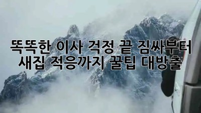 똑똑한 이사, 걱정 끝! 짐싸부터 새집 적응까지 꿀팁 대방출 🚚💨