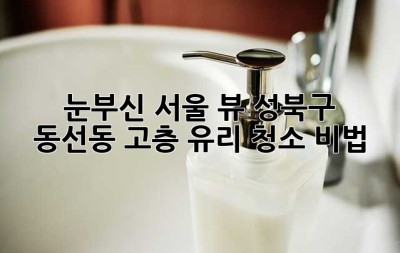 🏙️ 눈부신 서울 뷰, 성북구 동선동 고층 유리 청소 비법 ✨