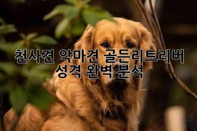 🐶 천사견? 악마견? 골든리트리버 성격 완벽 분석! 😇