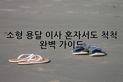 소형 용달 이사, 혼자서도 척척! 완벽 가이드