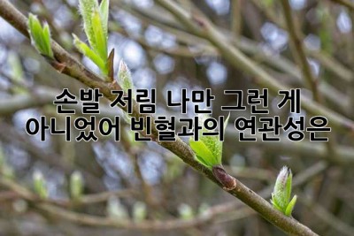 손발 저림? 나만 그런 게 아니었어! 빈혈과의 연관성은? 🤔
