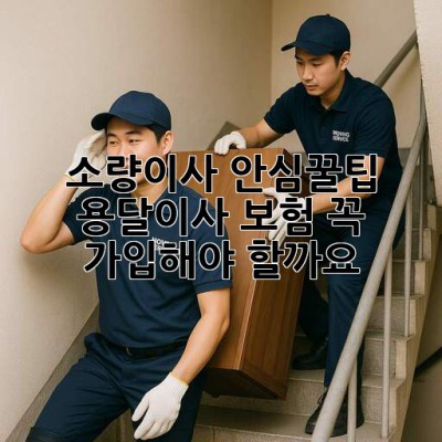 소량이사 안심꿀팁🍯 용달이사 보험, 꼭! 가입해야 할까요?