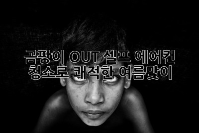 ❄️ 곰팡이 OUT! 셀프 에어컨 청소로 쾌적한 여름맞이 💨