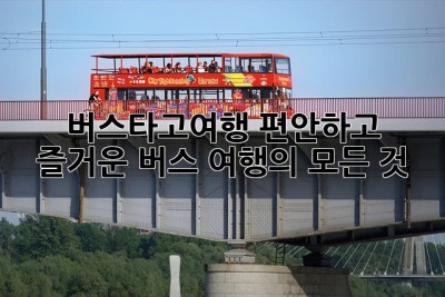 🚌💨 #버스타고여행: 편안하고 즐거운 버스 여행의 모든 것! 🤩