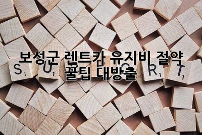 🚗 보성군 렌트카 유지비 절약 꿀팁 대방출! ✨