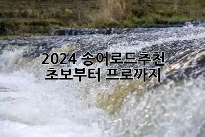 🎣 2024 송어로드추천! 초보부터 프로까지 💯