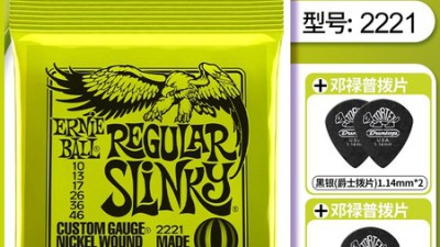 🎶 전자아코디언 득템 후기! 놓치면 후회할지도? 😉