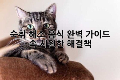 숙취 해소 음식 완벽 가이드: 속 시원한 해결책!