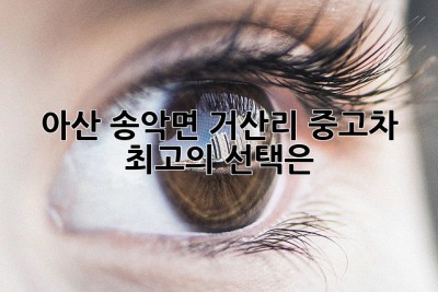 아산 송악면 거산리 중고차: 최고의 선택은?