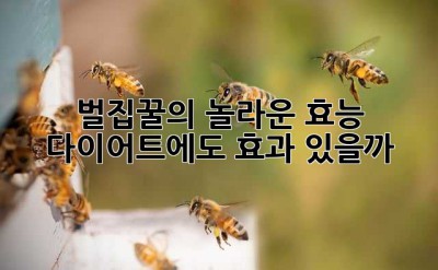 벌집꿀의 놀라운 효능: 다이어트에도 효과 있을까? 🤔