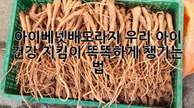 아이베넷배도라지🍯: 우리 아이 건강 지킴이! 똑똑하게 챙기는 법!