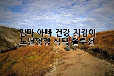 엄마 아빠 건강 지킴이 👨‍👩‍👧‍👦 노년영양 식탁 솔루션 🥗