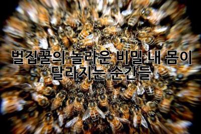 벌집꿀의 놀라운 비밀, 내 몸이 달라지는 순간들 ✨